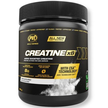 PVL Gold Series Creatine X8, 249 Grams